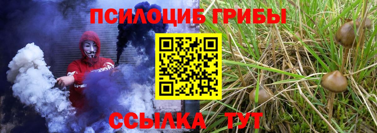Псилоцибиновые грибы GOLDEN TEACHER Усть-Илимск