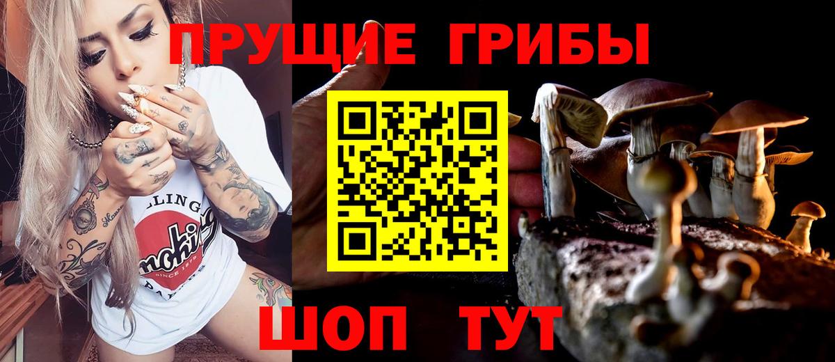 Галлюциногенные грибы Magic Shrooms  Вход с VPN  Усть-Илимск 